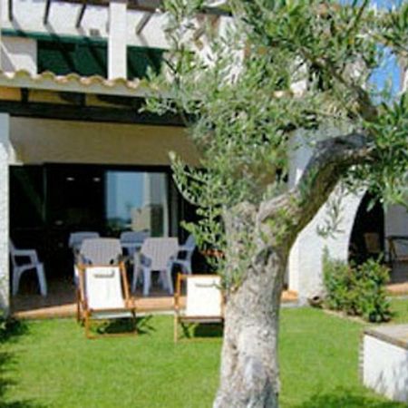 Oliveres 46 El Perelló Exterior foto